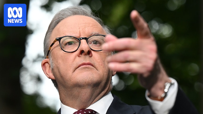 anthony-albanese-warns-of-far-right-rise-ahead-of-trump-meeting