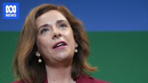 australia-s-social-media-ban-for-under-16s-sparks-debate-amid-new-guidelines