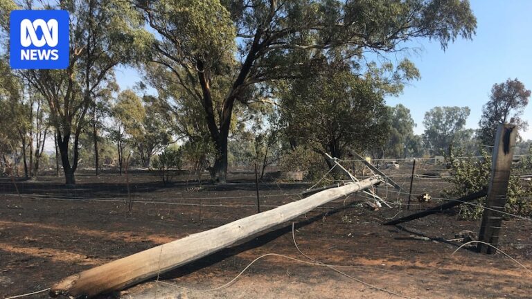 australian-technology-trials-to-prevent-bushfire-causing-power-line-faults