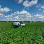 autonomous-potatoselector300-revolutionizing-agricultural-disease-detection