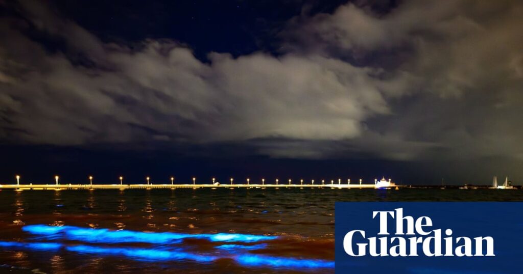 bioluminescent-algae-illuminate-melbourne-s-st-kilda-beach