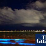 bioluminescent-algae-illuminate-melbourne-s-st-kilda-beach