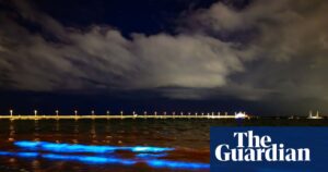 bioluminescent-algae-illuminate-melbourne-s-st-kilda-beach