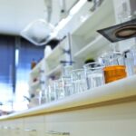 breakthrough-how-amino-acids-stabilize-proteins-in-solution