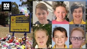 calls-for-stricter-regulations-in-the-wake-of-hillcrest-jumping-castle-tragedy