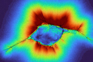 Collective cells deforming collagen