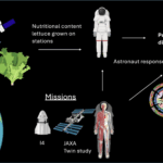 citizen-scientists-tackle-nutritional-challenges-of-space-grown-food