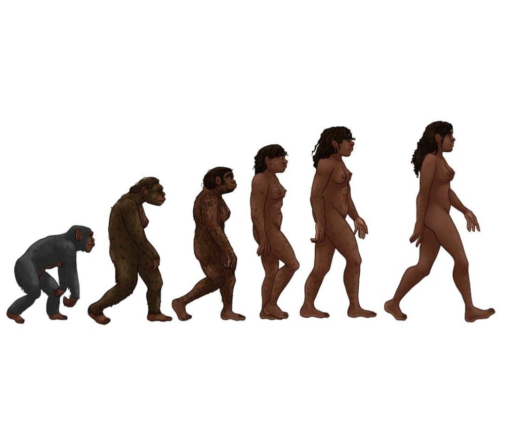 cultural-evolution-surpasses-genetics-in-shaping-human-development