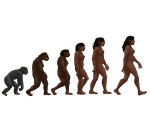 cultural-evolution-surpasses-genetics-in-shaping-human-development