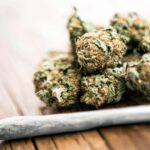 daily-cannabis-inhalation-linked-to-increased-lung-disease-risk-study-finds