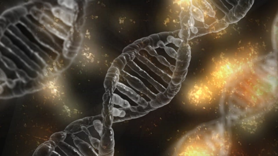 discovery-of-ancient-microbial-dna-in-mammoth-remains-rewrites-history