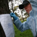 discovery-of-salt-gully-virus-marks-new-chapter-in-viral-research