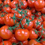 england-begins-first-human-trial-of-gene-edited-tomatoes-for-vitamin-d-boost