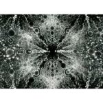 erwin-w-m-ller-s-legacy-revolutionizing-atomic-resolution-in-microscopy