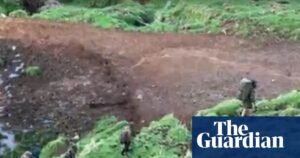 fugitive-father-tom-phillips-saga-ends-in-tragedy-in-new-zealand