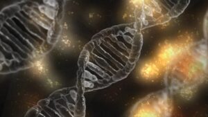 genetic-links-to-gut-fungi-could-transform-chronic-disease-understanding