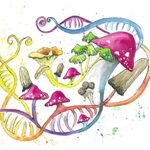 genetic-links-to-gut-fungi-uncover-new-chronic-disease-risks