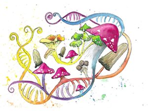 genetic-links-to-gut-fungi-uncover-new-chronic-disease-risks