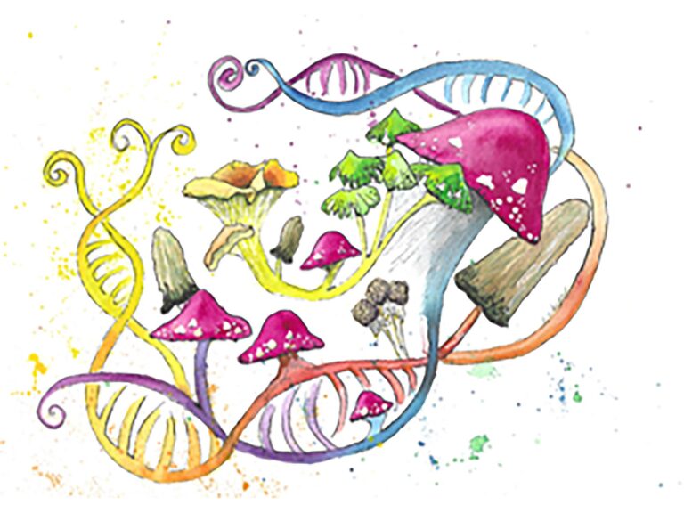 genetic-links-to-gut-fungi-uncover-new-chronic-disease-risks
