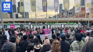 global-protests-erupt-over-indonesian-mps-perks-amid-economic-strain