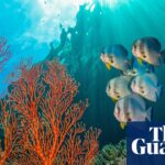 global-support-grows-for-ambitious-30-nature-protection-by-2030