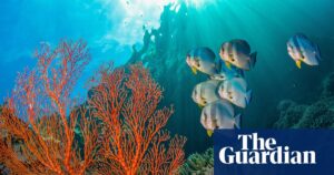 global-support-grows-for-ambitious-30-nature-protection-by-2030