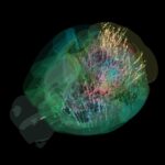 groundbreaking-brain-map-reveals-decision-making-at-cellular-level