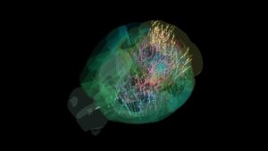 groundbreaking-brain-map-reveals-decision-making-at-cellular-level