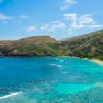 hanauma-bay-s-remarkable-recovery-during-covid-19-lockdowns