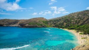hanauma-bay-s-remarkable-recovery-during-covid-19-lockdowns