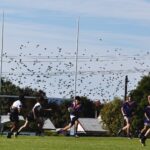 health-authorities-warn-of-increased-bat-activity-with-warmer-weather