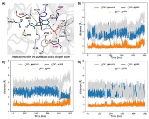 innovative-biocatalytic-method-revolutionizes-drug-discovery