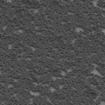 innovative-method-revolutionizes-detection-of-nanoplastics-globally