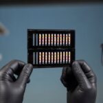 innovative-paper-test-revolutionizes-gm-crop-detection