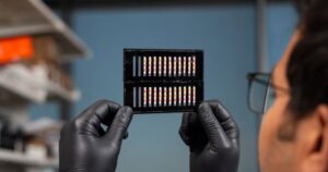 innovative-paper-test-revolutionizes-gm-crop-detection