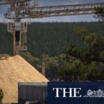 japanese-firm-sues-victoria-for-402m-over-timber-supply-breach