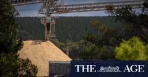 japanese-firm-sues-victoria-for-402m-over-timber-supply-breach