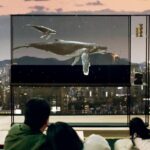 lg-unveils-transparent-oled-tv-in-australia-for-74-999