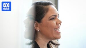 liberal-party-faces-backlash-after-controversial-migration-remarks