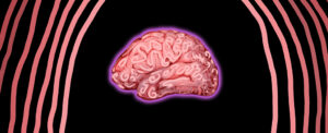 maternal-microbes-and-their-role-in-brain-development-a-new-perspective