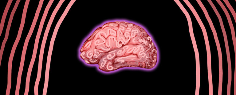 maternal-microbes-and-their-role-in-brain-development-a-new-perspective