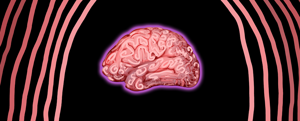 maternal-microbes-and-their-role-in-brain-development-a-new-perspective