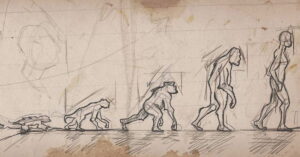 new-fossil-discoveries-challenge-human-evolution-narratives