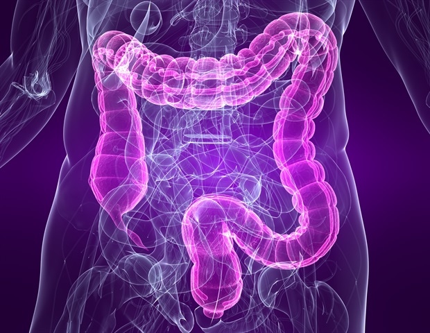 new-study-reveals-unequal-digestion-of-dietary-proteins-in-the-gut