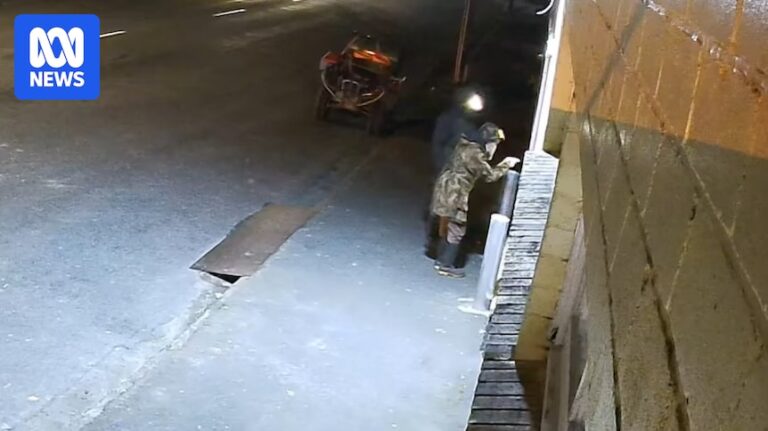 new-zealand-police-release-cctv-footage-of-fugitive-tom-phillips-and-child