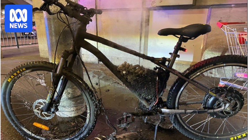 nsw-bans-converted-e-bikes-on-trains-amid-fire-risk-concerns