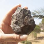 prehistoric-discovery-in-turkey-could-rewrite-early-human-migration-history