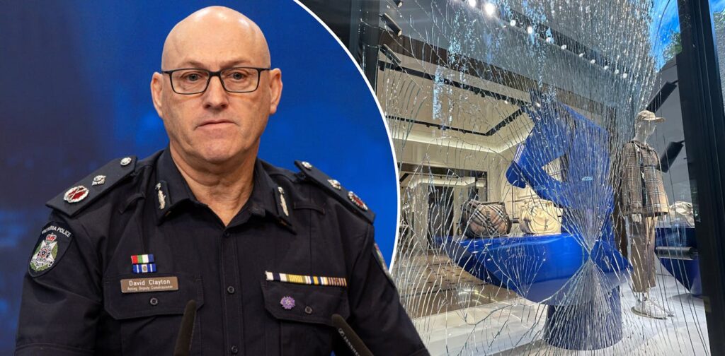 retailers-fortify-stores-against-rising-theft-a-new-era-of-shopping-