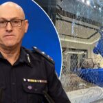 retailers-fortify-stores-against-rising-theft-a-new-era-of-shopping-