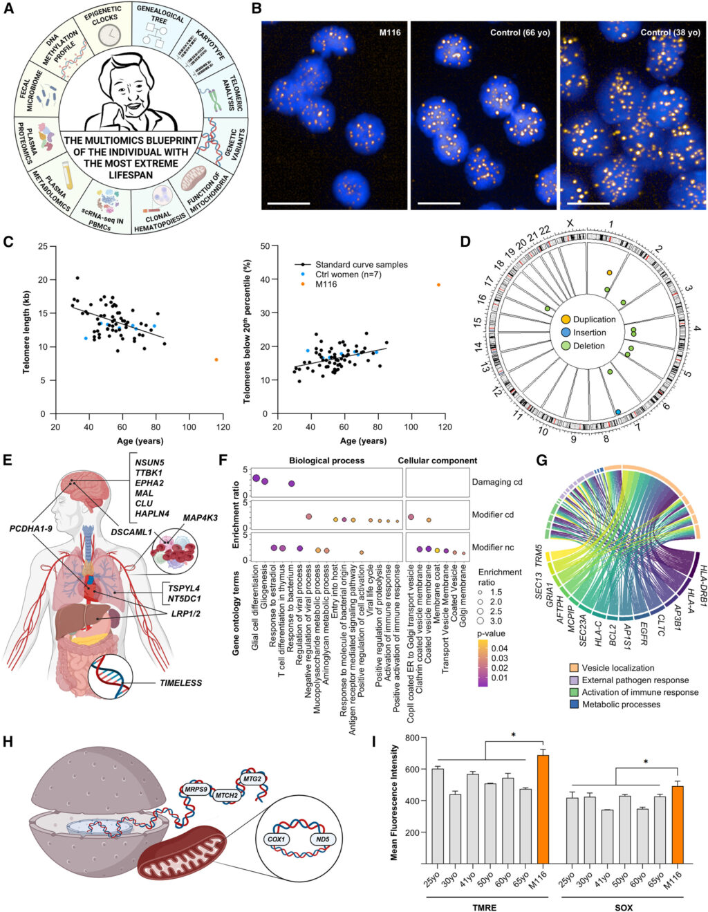secrets-of-longevity-study-reveals-genetic-and-microbial-keys-to-a-long-life